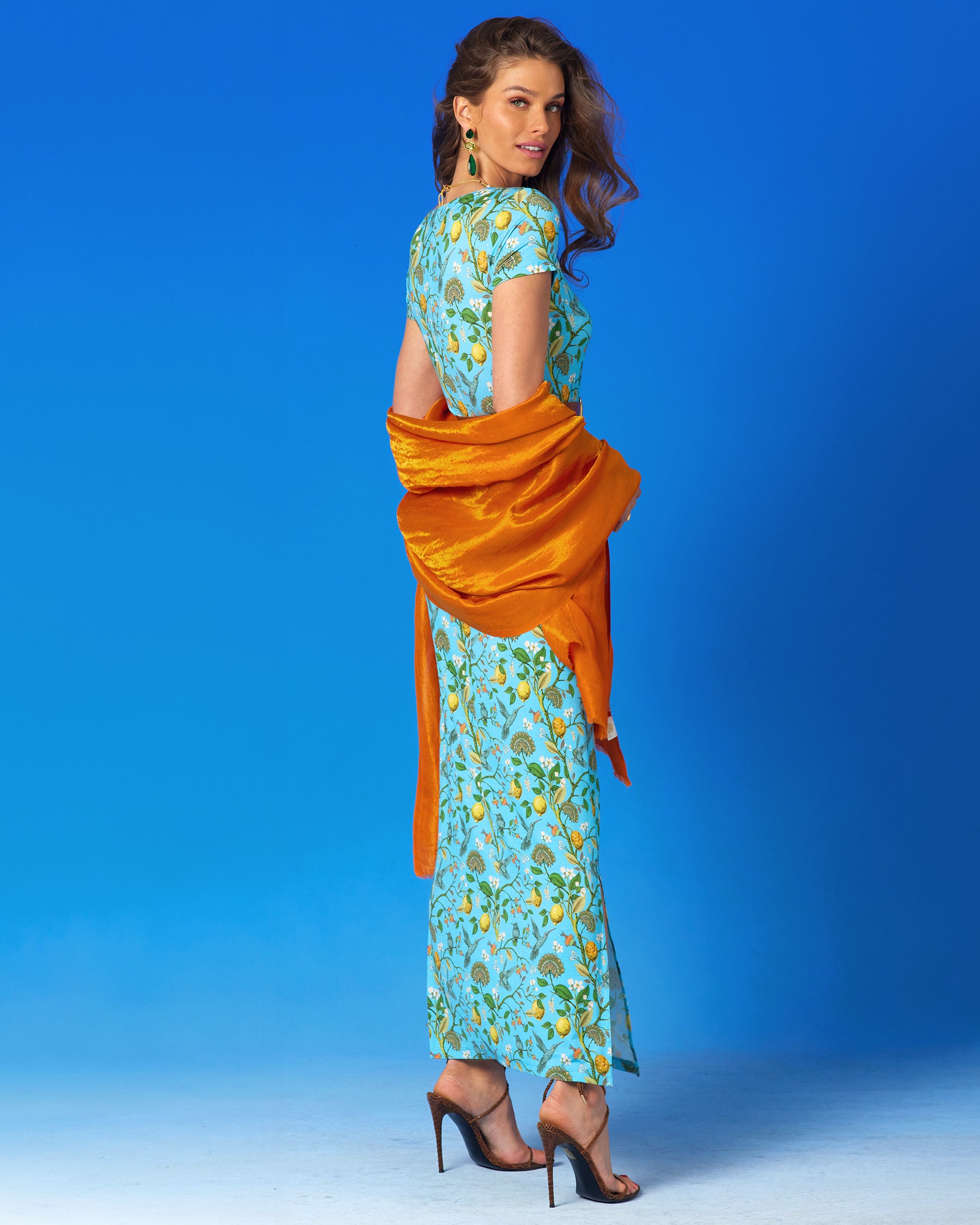 Flora Long Stretch Dress in Turquoise Hummingbird Print-Back View
