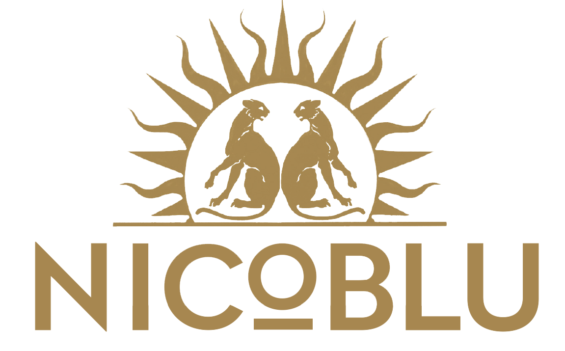 NicoBlu logo