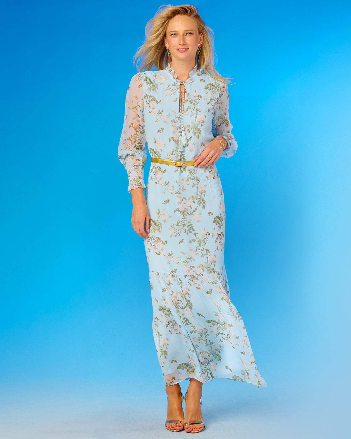 Colette Maxi Chiffon Dress in Porcelain Sky English Garden front view