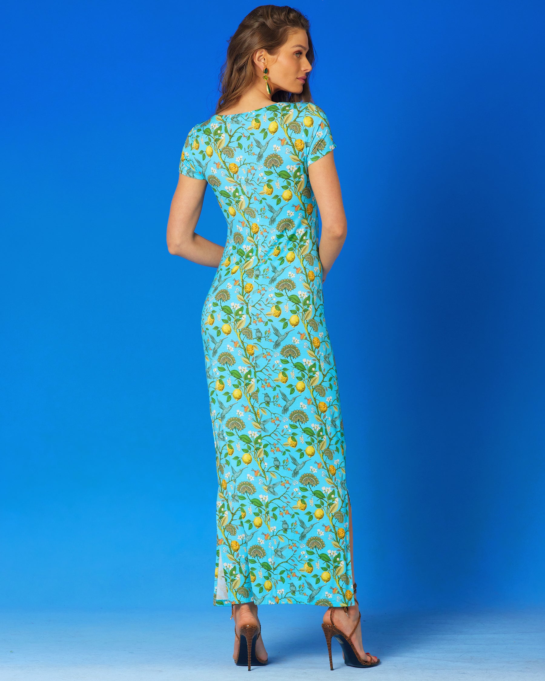 Flora Long Stretch Dress in Turquoise Hummingbird Print-Back View
