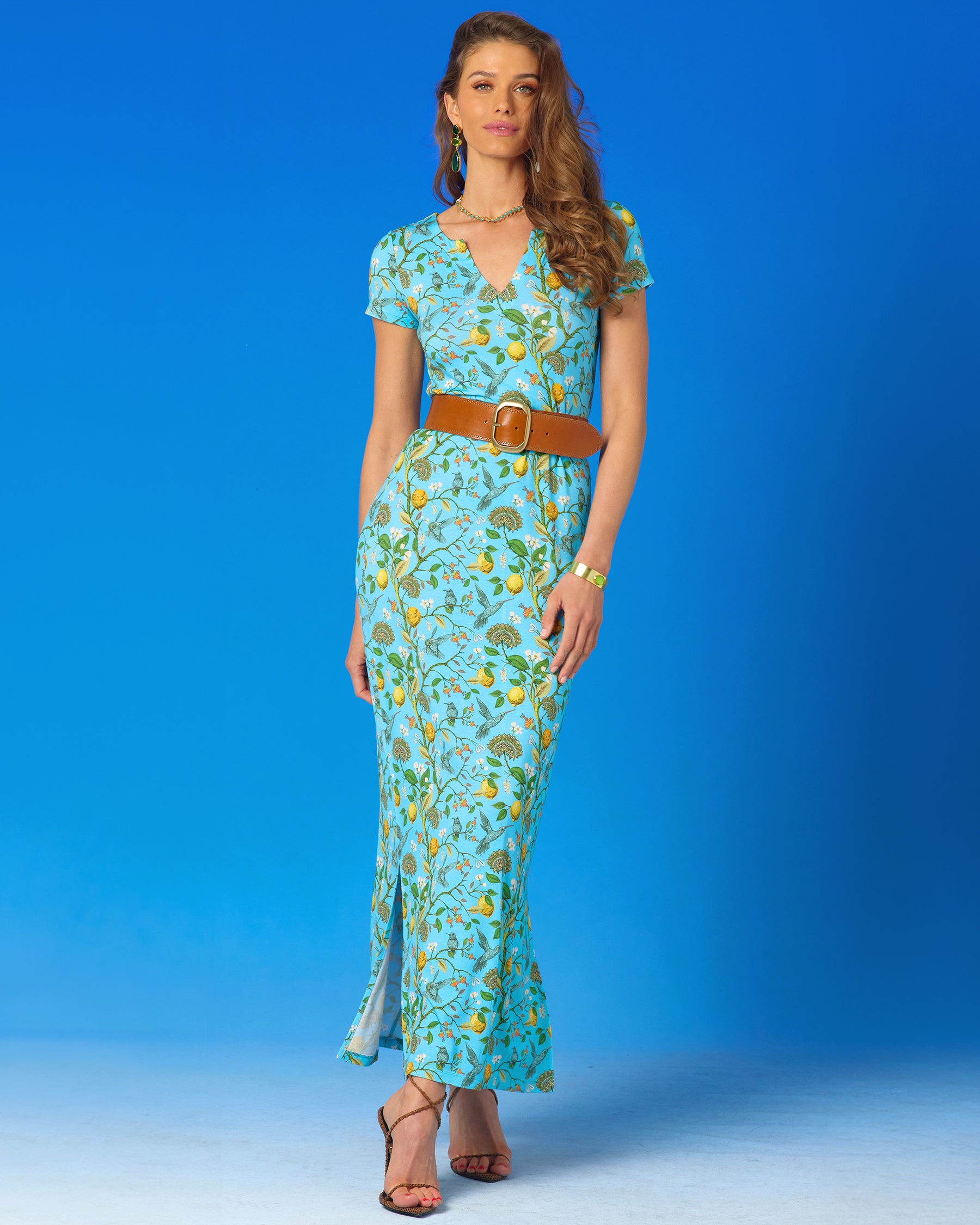 Flora Long Stretch Dress in Turquoise Hummingbird Print-Front View