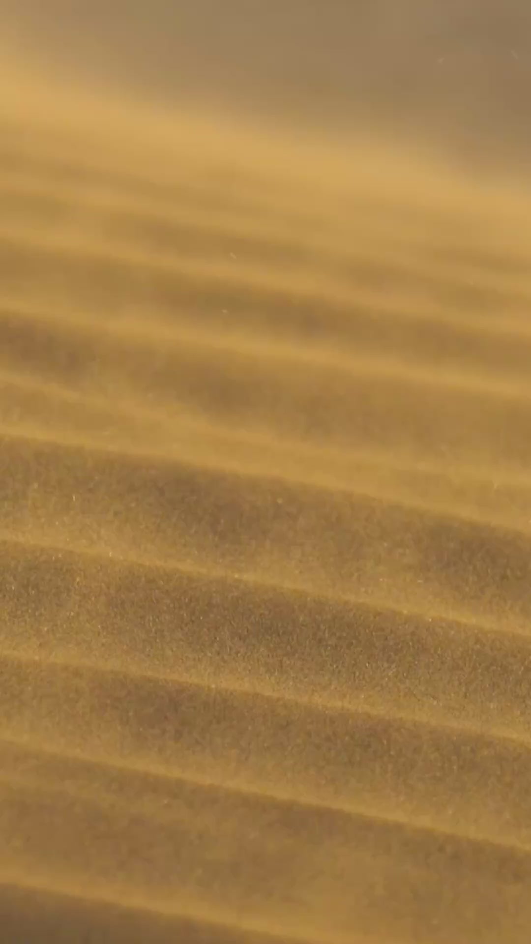 Savanna Pareo in Tropical Oasis Video