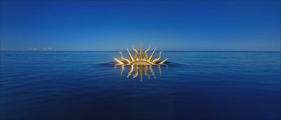Maison NicoBlu-the musical world of NicoBlu