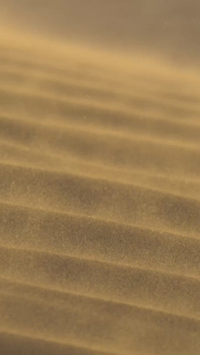 Video of Josephine Reversible Pashmina Shawl in Gold Shimmer Dune