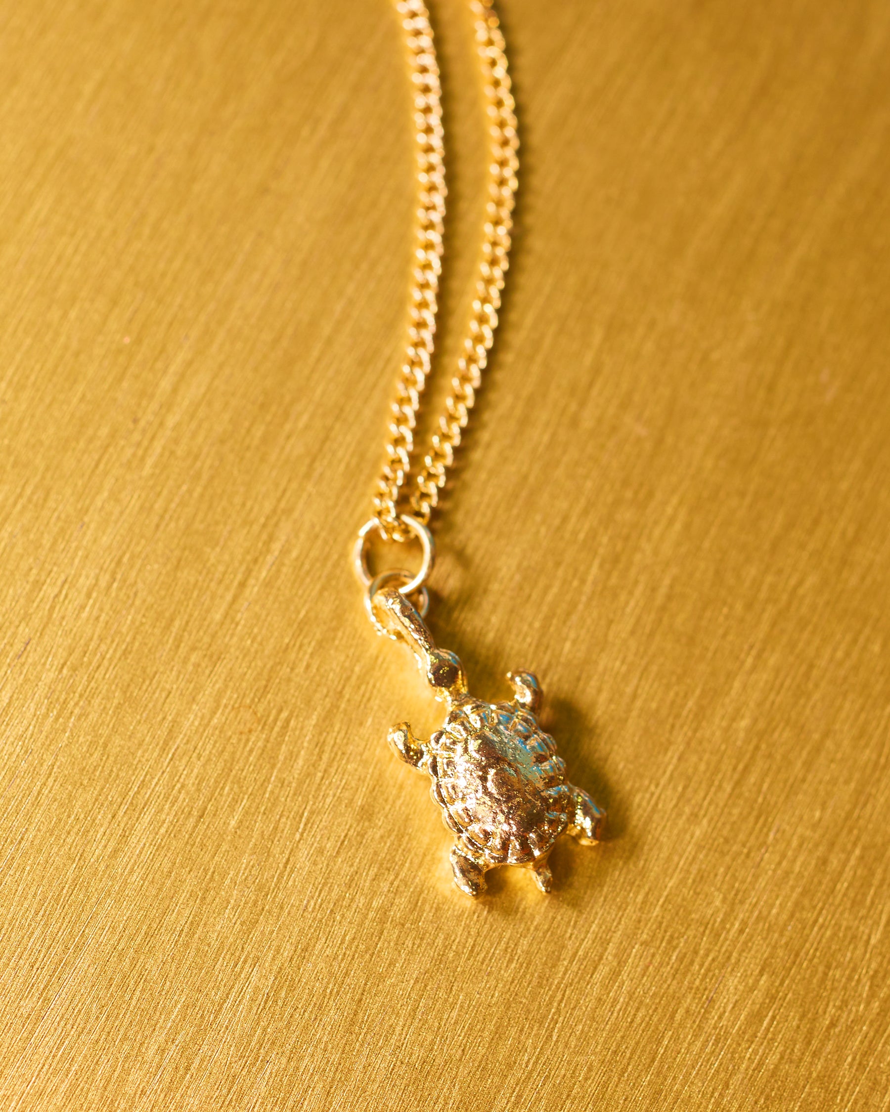 Zoe Turtle Charm Pendant Necklace